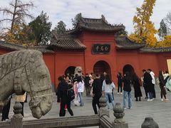 -洛阳白马寺