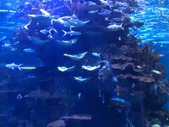 -多彩贵州城极地海洋世界