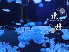 -南京海底世界