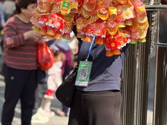 -越秀西湖花市(广州城市广场花卉店)