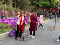 -星湖旅游景区七星岩