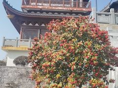 -汤山公园