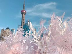 点击看大图 -迈瑞米求婚策划(静安店)