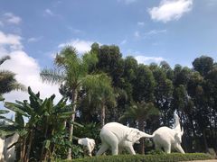 -云南民族村