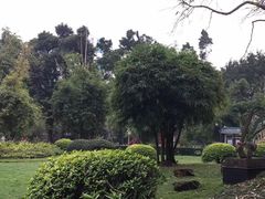 -晓港公园