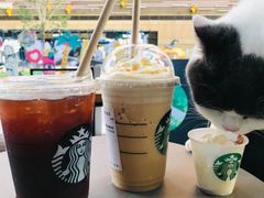 -星巴克(天津鲁能中心第三店)