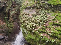 -藏龙百瀑风景区