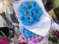 -鹏欣水游城