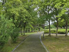 -白塘生态植物园