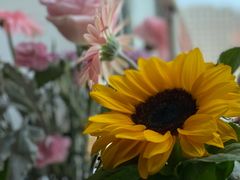 -ChaKo Flora ·茶子花艺 (市北店)