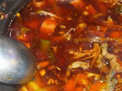 -小饕荟雅安贡椒鱼鲜馆(广福桥店)