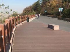 -杭州半山国家森林公园