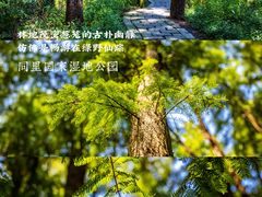 -同里国家湿地公园