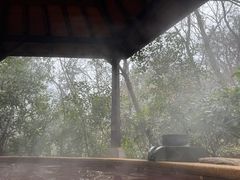 -天目湖涵田半山温泉