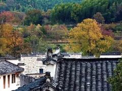 -塔川景区