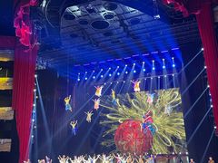 -水秀国际大剧院