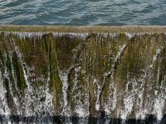 -海南热带雨林国家公园吊罗山景区