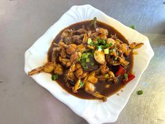 -百丈农家