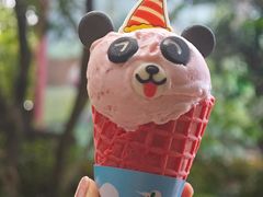 -广州长隆野生动物世界