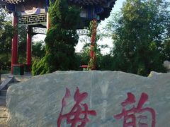 -大港湿地公园