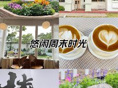 -椿Growth