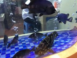 -安蒂娅美兰酒店·宴会厅