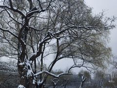 -北京明城墙遗址公园