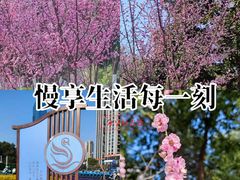 -天鹅湖体育公园