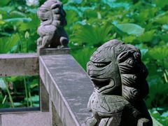 -上海醉白池公园