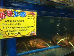 -蚝专家(北滘店)