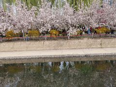 -海棠花溪(元大都城垣遗址公园)