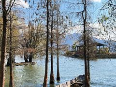 -才村湿地公园