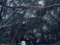 -郑和公园
