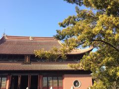 -苏州文庙(姑苏区)