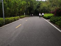 -神光山国家森林公园