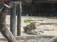 -深圳野生动物园