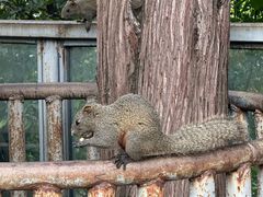 -昆明动物园