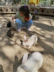 -浅山蜜塘奇妙乐园·亲子营地