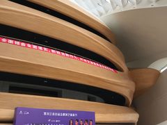 -哈尔滨大剧院