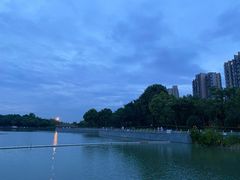 -南翔镇银翔湖公园