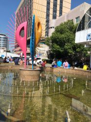 -上海交通大学医学院附属上海儿童医学中心(陆家嘴总院区)