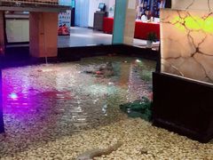 -宝燕海鲜(好爱店)