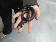 -西湖文化广场