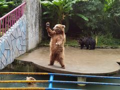 -贵州森林野生动物园