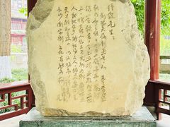 -温江公园