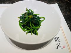 -觀芷隐轩