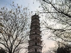 -祥源·阜阳生态乐园