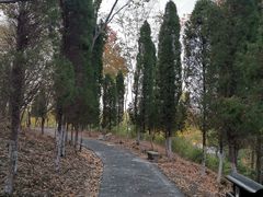 -六合国家地质公园桂子山景区