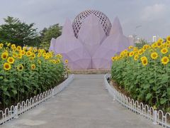 -海心沙亚运公园