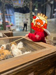 -酷嗒动物文化乐园(cutezoo西溪乐天城店)